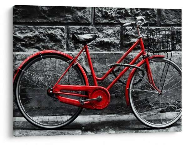 Tablou - Bicicleta istorică (70x50 cm)