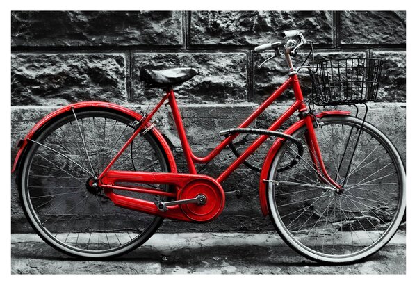 Tablou - Bicicleta istorică (90x60 cm)