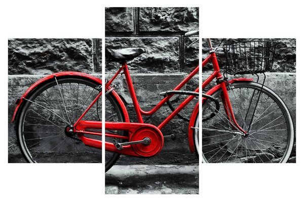 Tablou - Bicicleta istorică (90x60 cm)