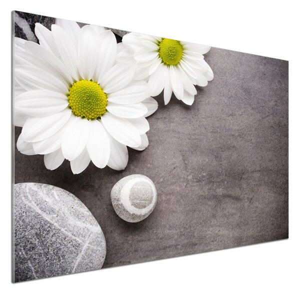 Panou de bucătărie gerbera