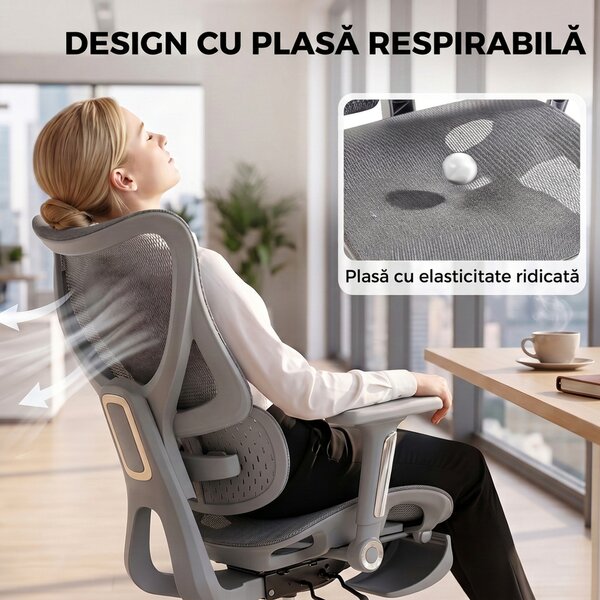 HOMCOM Scaun de birou ergonomic cu suport pentru picioare și plasă respirabilă, gri | Aosom Romania