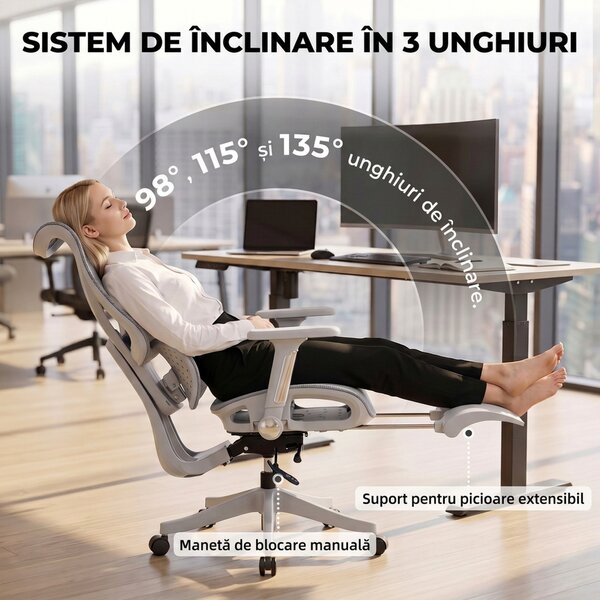HOMCOM Scaun de birou ergonomic cu suport pentru picioare și plasă respirabilă, gri | Aosom Romania