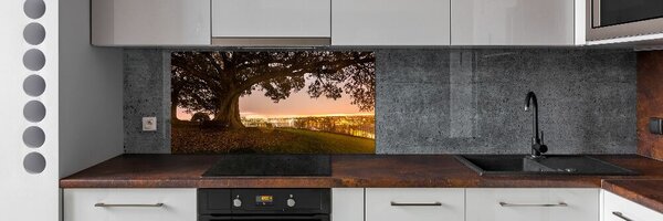 Panou sticlă decorativa bucătărie copac vechi