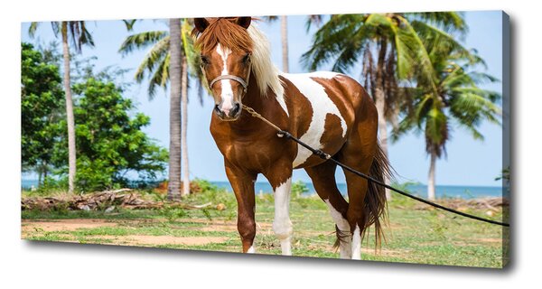 Imprimare tablou canvas cal pinto
