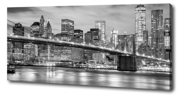 Pictură pe pânză Manhattan New York City