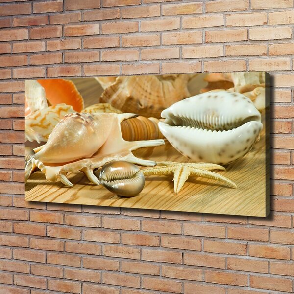 Tablou pe pânză canvas Scoici pe lemn