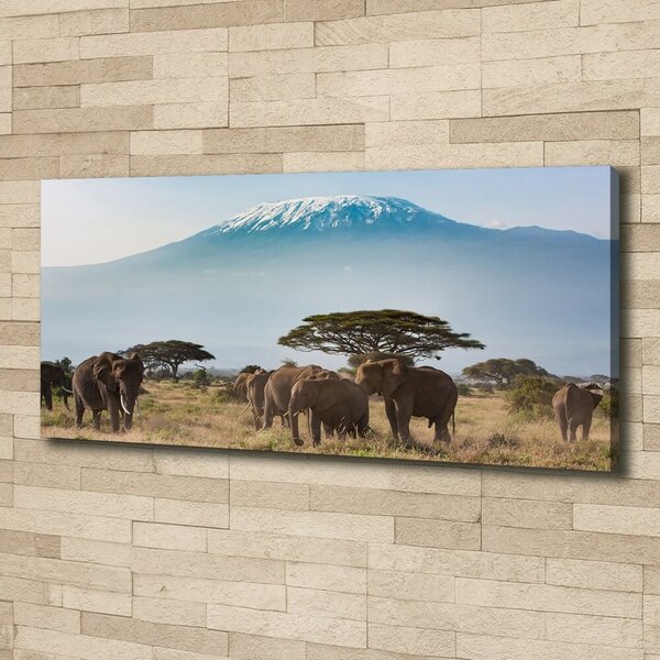Tablou canvas elefanți Kilimanjaro