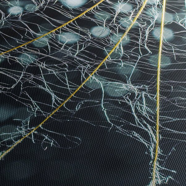 Tablou - Floare cu pânză de pâianjen (90x60 cm)