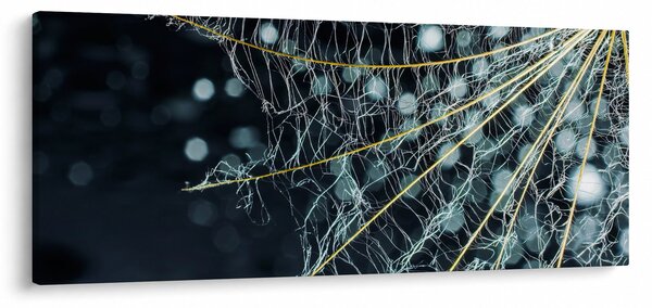 Tablou - Floare cu pânză de pâianjen (120x50 cm)