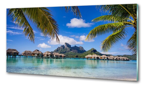 Sticlă pentru bucătărie Palmieri pe Bora Bora