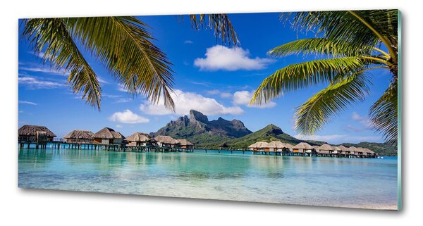 Sticlă pentru bucătărie Palmieri pe Bora Bora