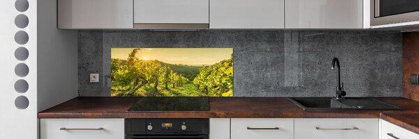 Panou sticla securizata bucatarie Vie