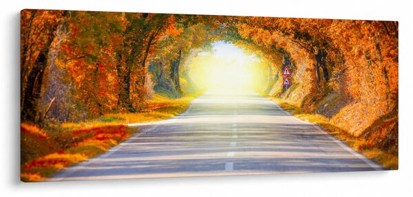 Tablou - Poarta din copaci (120x50 cm)