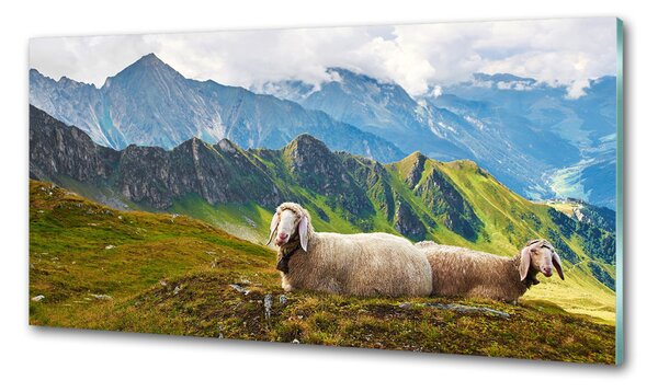 Panou sticla securizata bucatarie Oile în Alpi