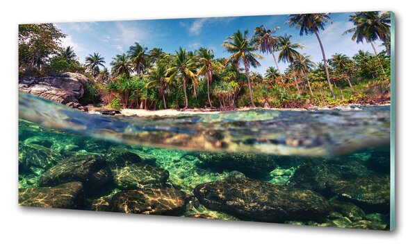 Sticlă pentru bucătărie plaja tropicala