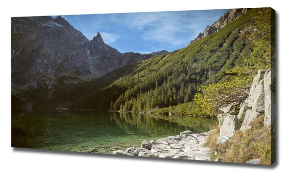 Pictură pe pânză Marine ochi Tatry