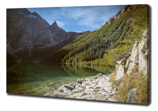Pictură pe pânză Marine ochi Tatry
