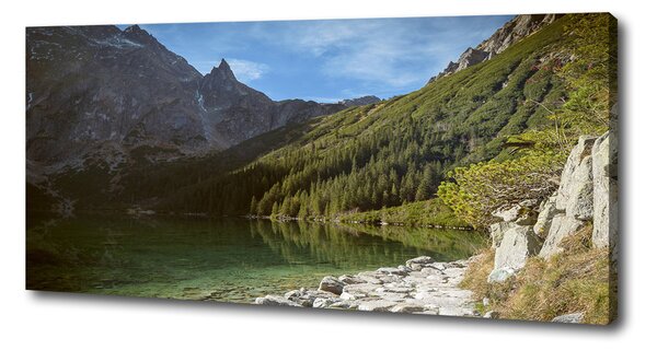 Pictură pe pânză Marine ochi Tatry