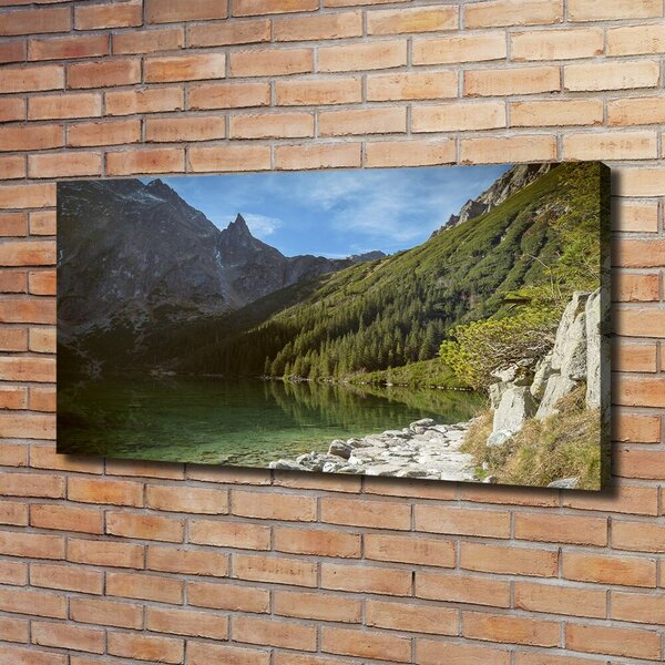 Pictură pe pânză Marine ochi Tatry