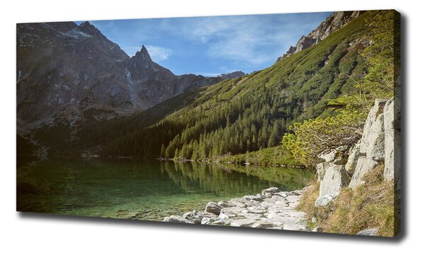 Pictură pe pânză Marine ochi Tatry