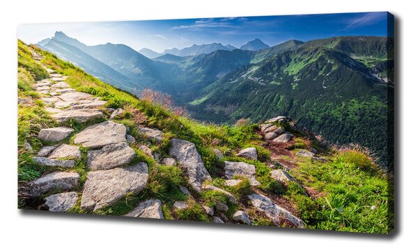 Tablou pe pânză canvas Sunrise Tatry