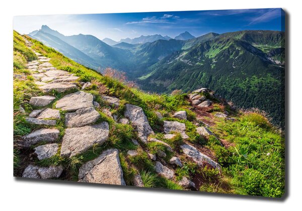Tablou pe pânză canvas Sunrise Tatry