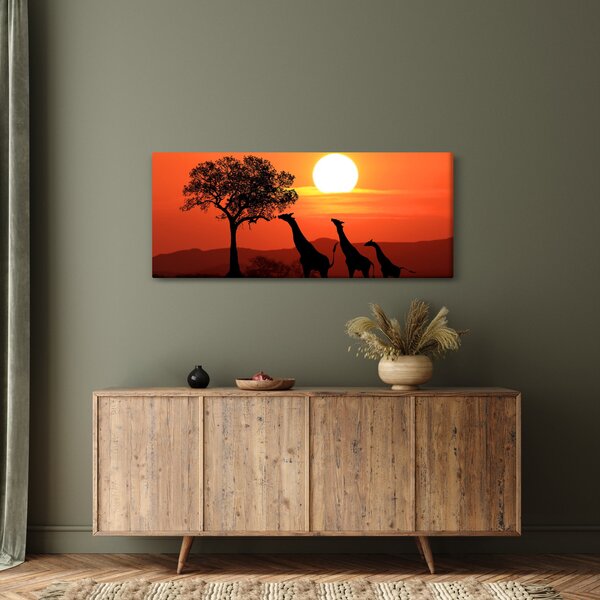 Tablou cu girafe în apus de soare (120x50 cm)
