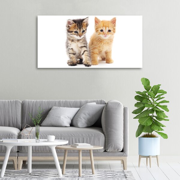 Tablou pe pânză canvas Pisica Brown si ghimbir