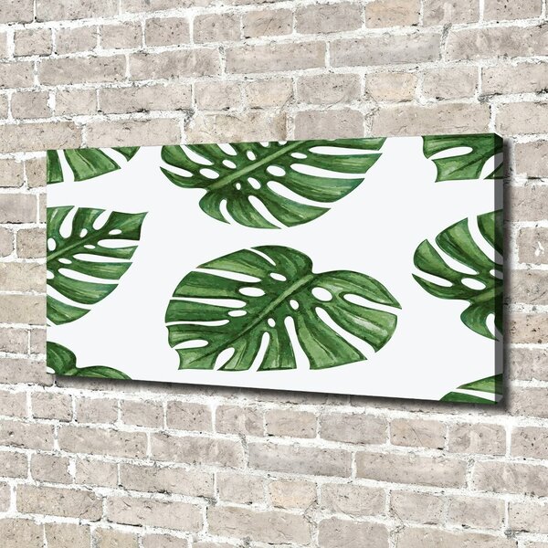 Tablou pe pânză canvas Monstera