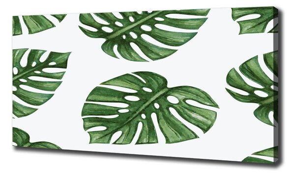 Tablou pe pânză canvas Monstera