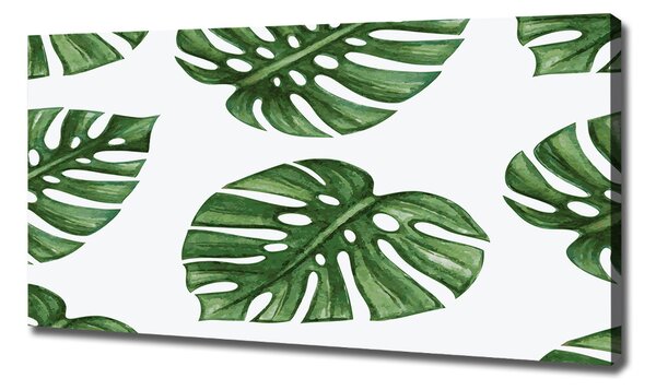 Tablou pe pânză canvas Monstera