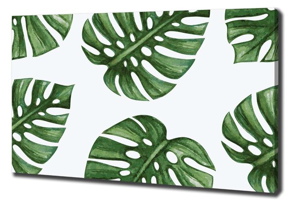 Tablou pe pânză canvas Monstera