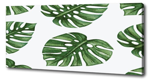 Tablou pe pânză canvas Monstera