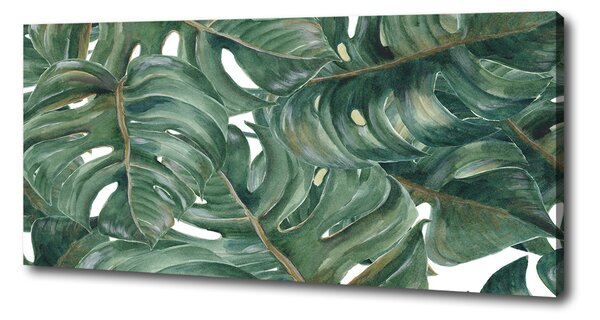 Tablou canvas Monstera