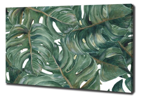 Tablou canvas Monstera