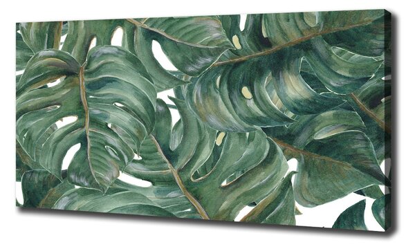 Tablou canvas Monstera