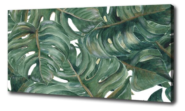 Tablou canvas Monstera
