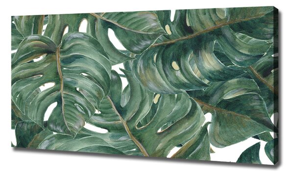 Tablou canvas Monstera