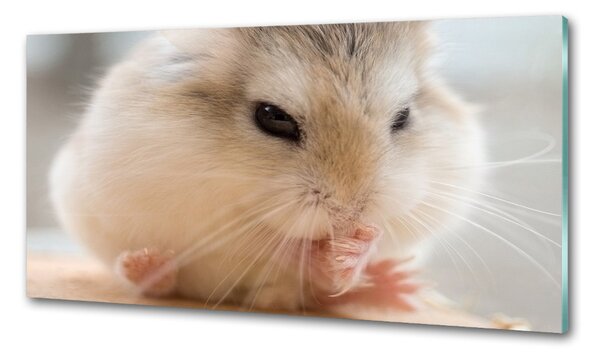 Panou sticlă decorativa bucătărie Hamster