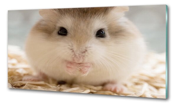 Sticlă bucătărie Hamster