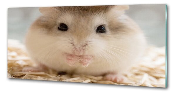 Sticlă bucătărie Hamster