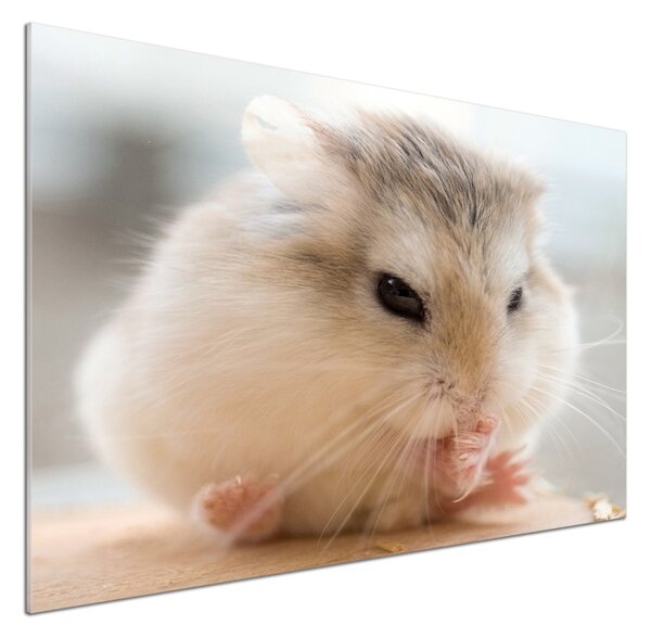 Panou sticlă decorativa bucătărie Hamster