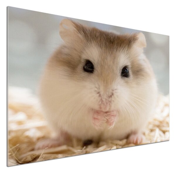 Sticlă bucătărie Hamster