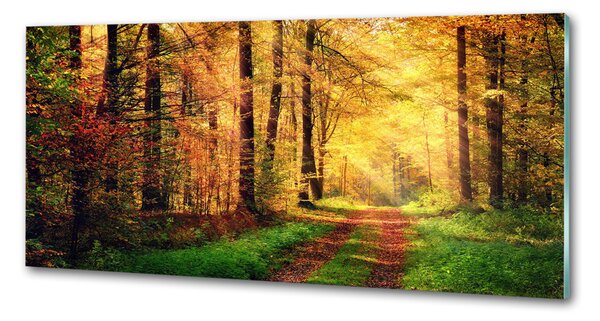 Panou sticla securizata bucatarie pădure în toamna