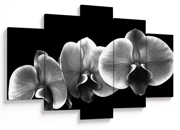 Tablou floare de orhidee (150x105 cm)