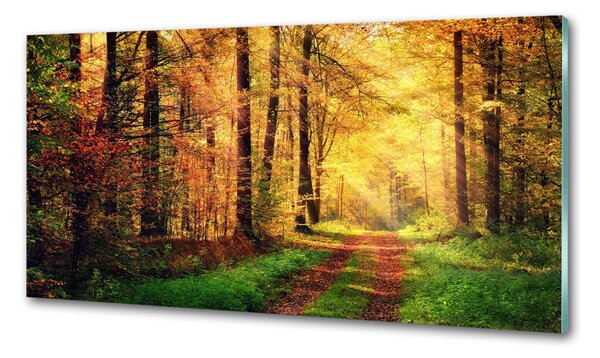 Panou sticla securizata bucatarie pădure în toamna