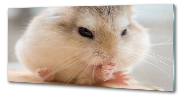 Panou sticlă decorativa bucătărie Hamster
