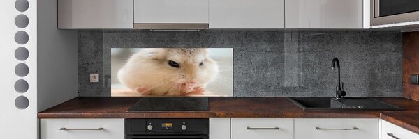 Panou sticlă decorativa bucătărie Hamster