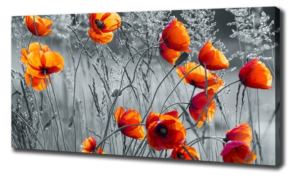 Tablou pe pânză wildflowers maci