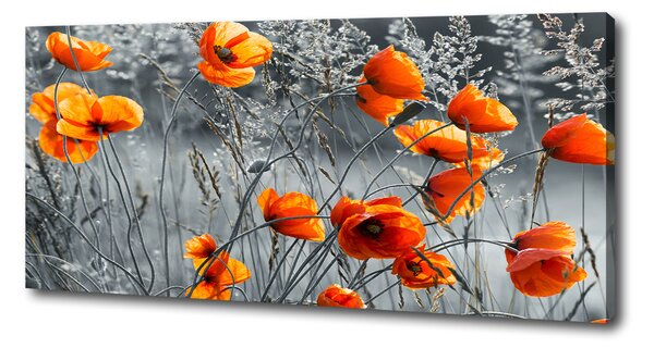 Tablouri tipărite pe pânză wildflowers maci